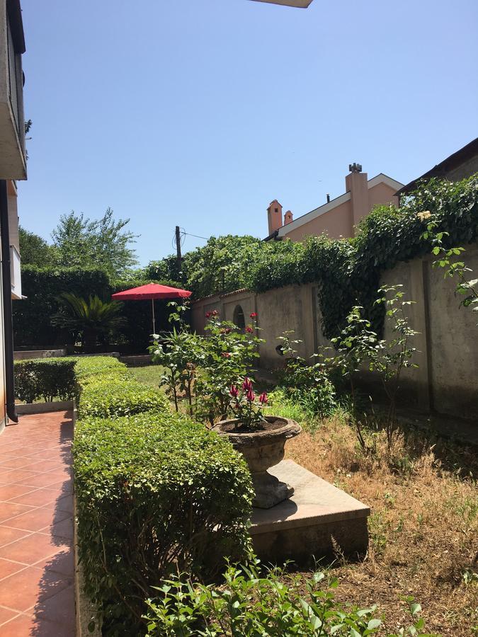 Apartment Garden 코토르 외부 사진